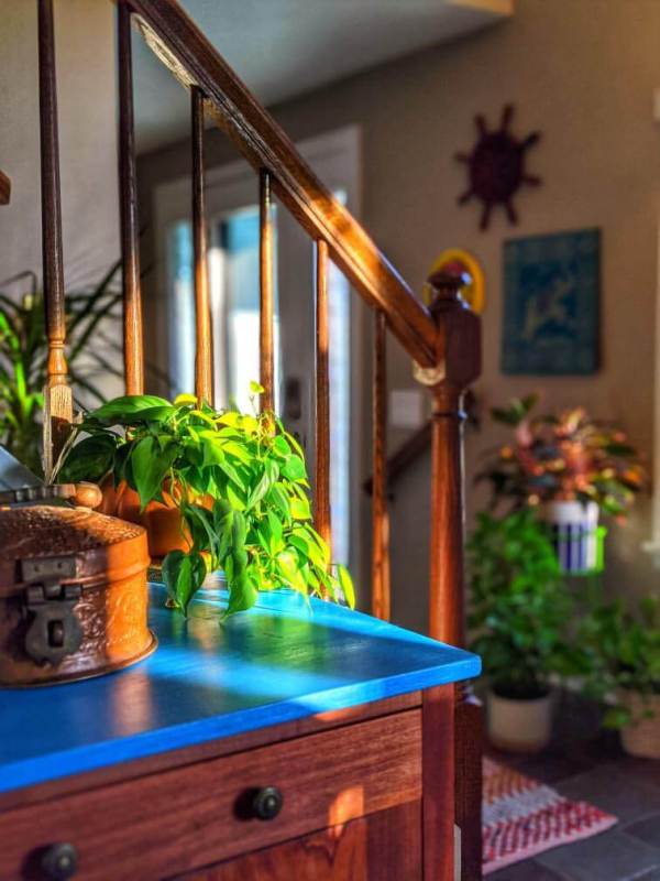 One look at Thenmozhi's home will transport you to India! With greenery and temple elements, this South Indian Home in USA glows with abundance and piety.