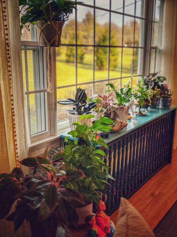 One look at Thenmozhi's home will transport you to India! With greenery and temple elements, this South Indian Home in USA glows with abundance and piety.