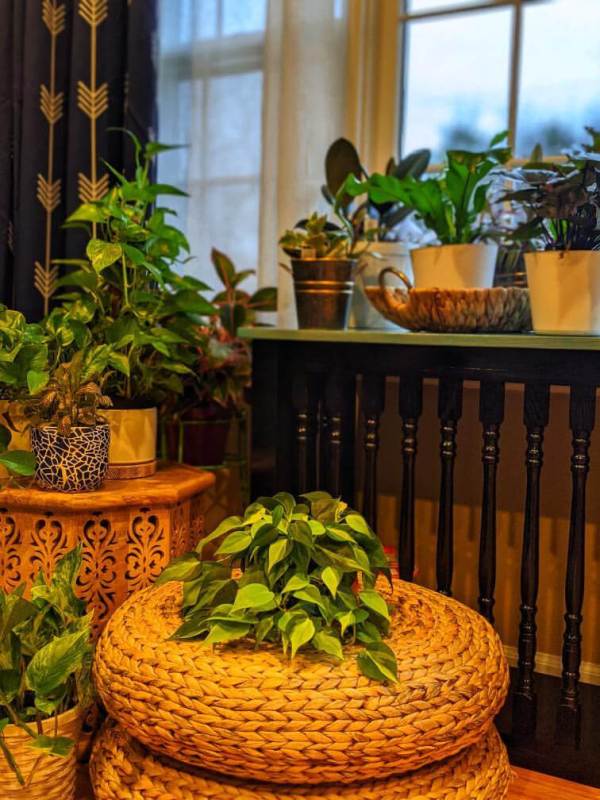 One look at Thenmozhi's home will transport you to India! With greenery and temple elements, this South Indian Home in USA glows with abundance and piety.