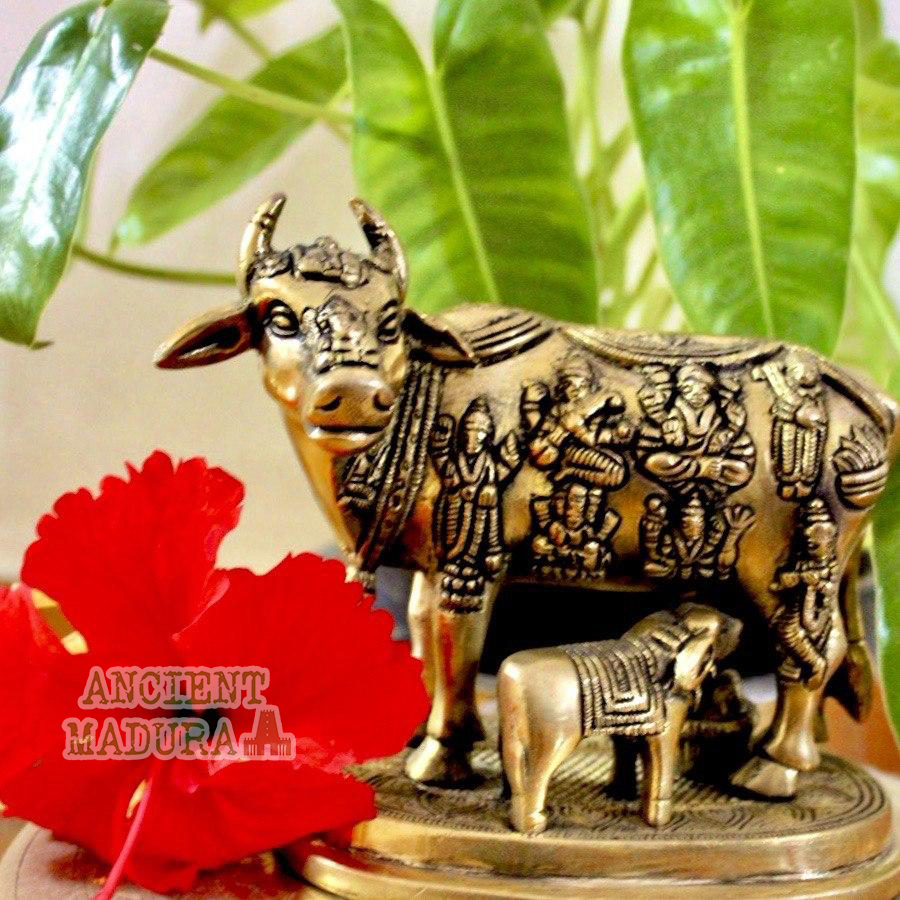 Kamdhenu cow with calf idol