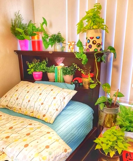 An Aussie Home in true South Indian Style - Kavitha's Home Tour