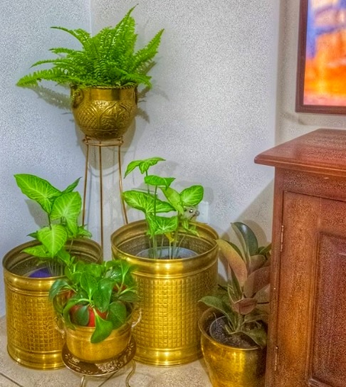 An Aussie Home in true South Indian Style - Kavitha's Home Tour