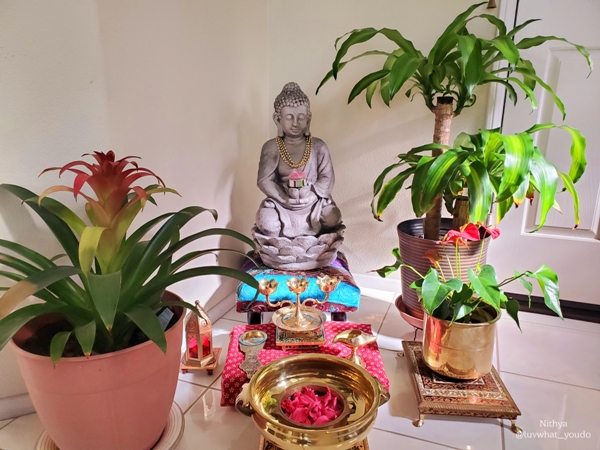 An American Home with a South Indian Heart!