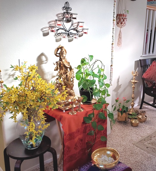 An American Home with a South Indian Heart!