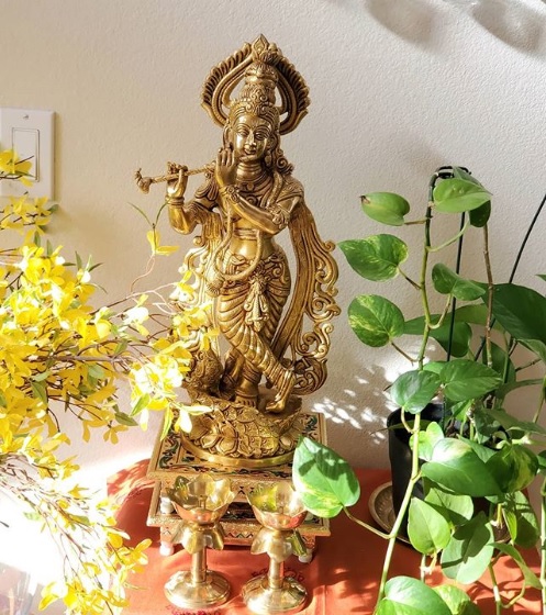 An American Home with a South Indian Heart!