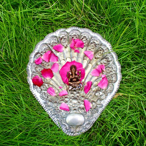 White-Brass-Shell-Plate