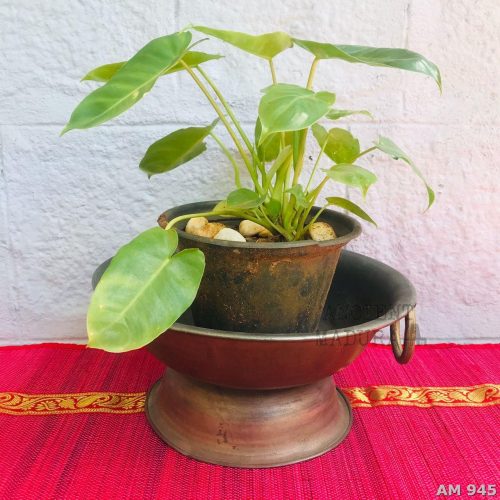 Brass Basin Bowl with Handles