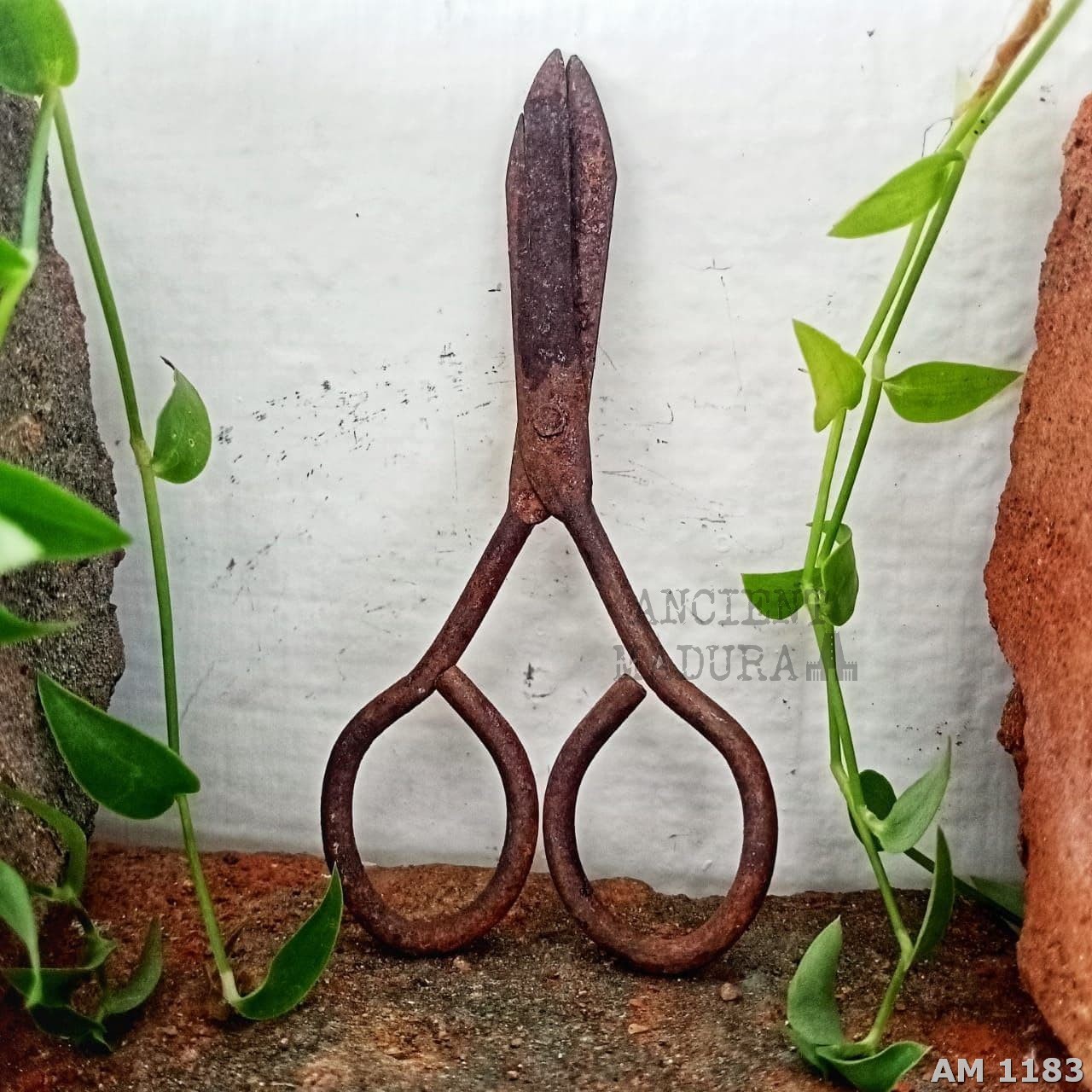 Antique Scissors in Iron