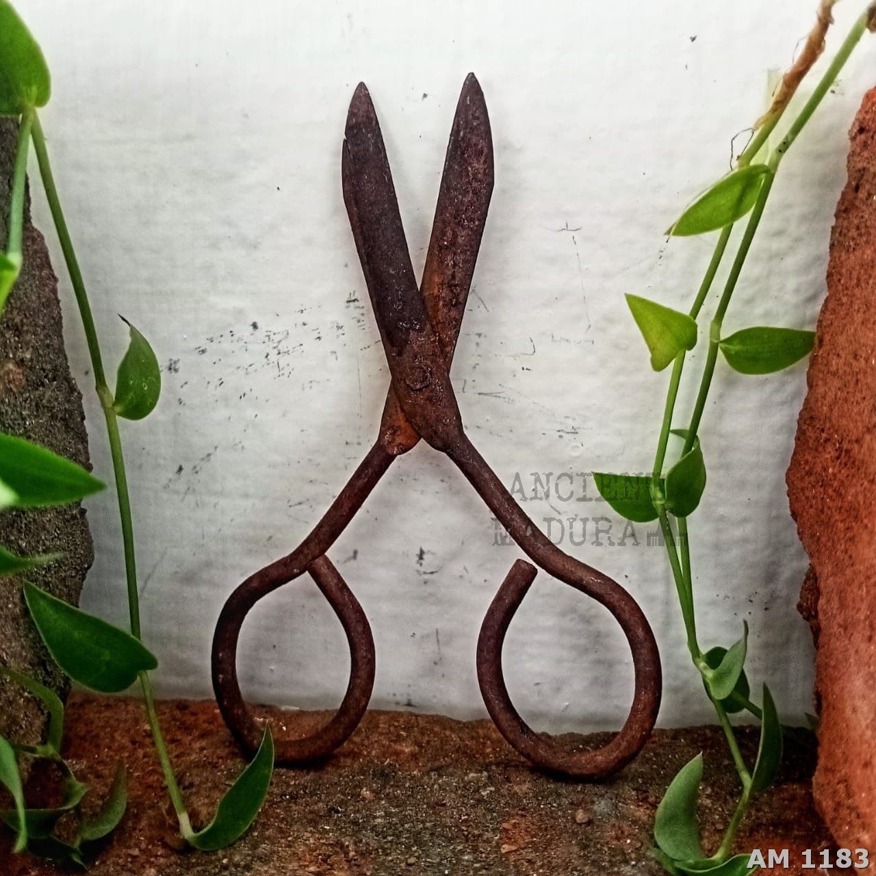 Antique Scissors in Iron