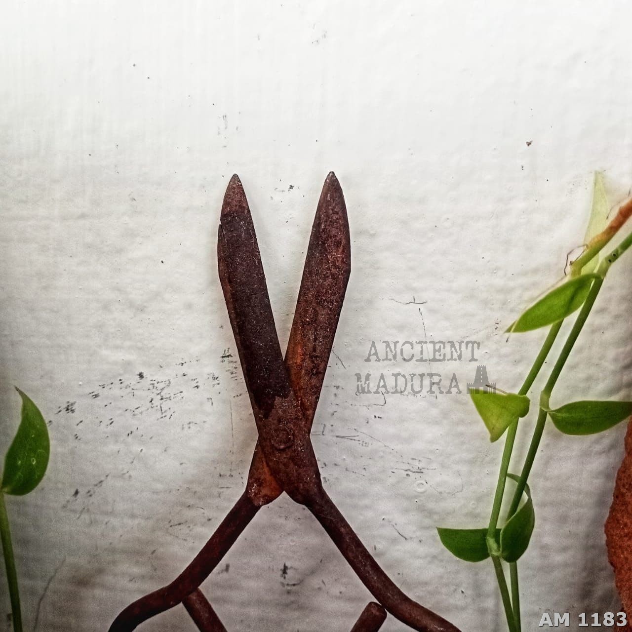 Antique Scissors in Iron