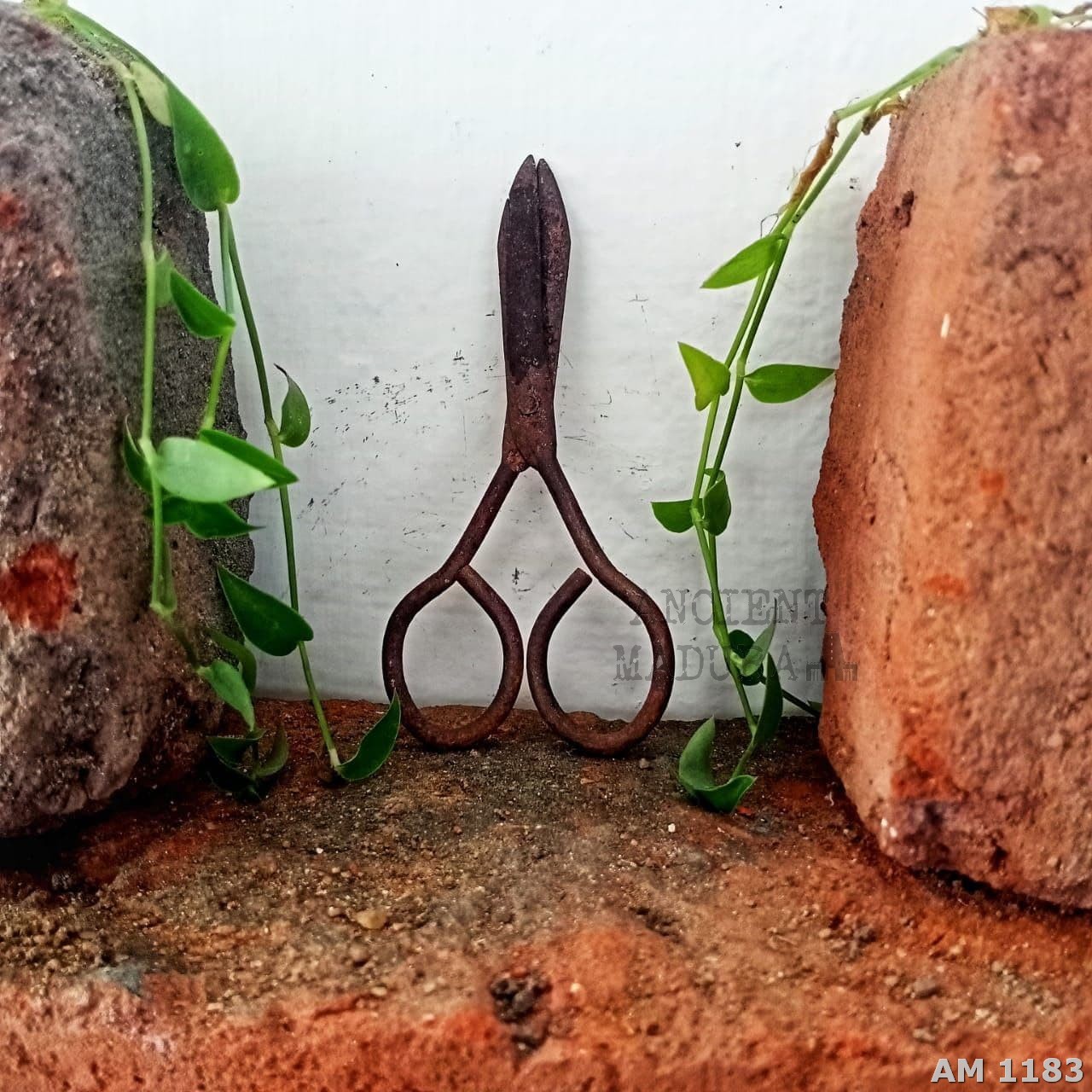Antique Scissors in Iron