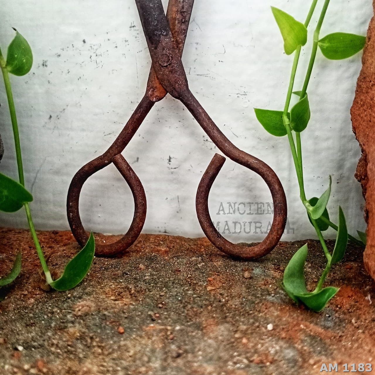 Antique Scissors in Iron