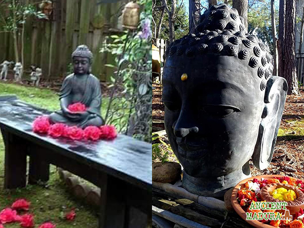 Viji Sankaran Zen Garden