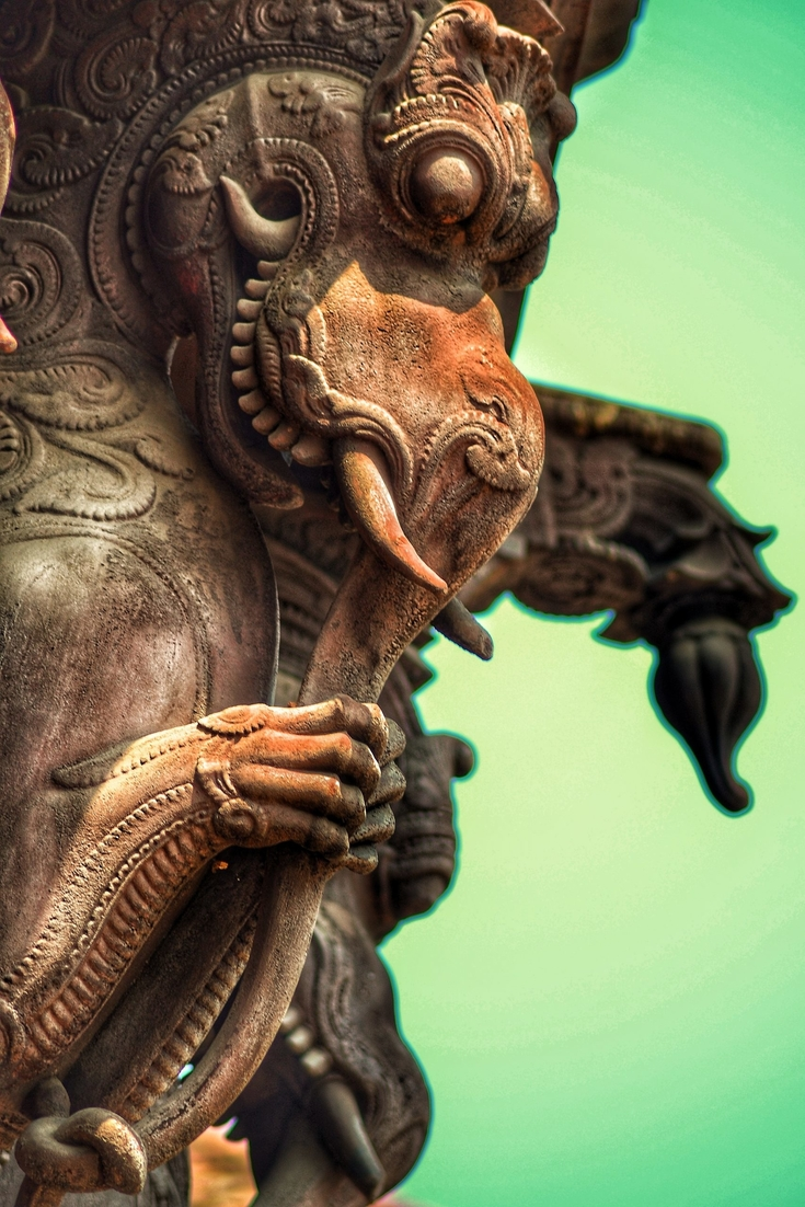 Yazhi close up image