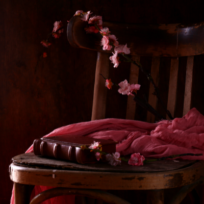 Chair with a book, a flower branch, and pink scarf on it