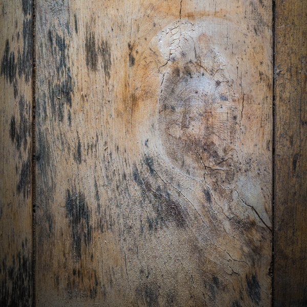 Wooden plank dispersed with mould