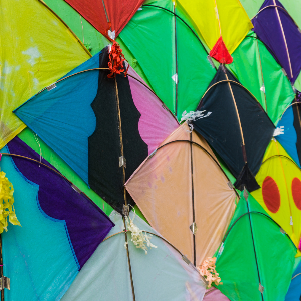 colourful kites for Makara Sankranti