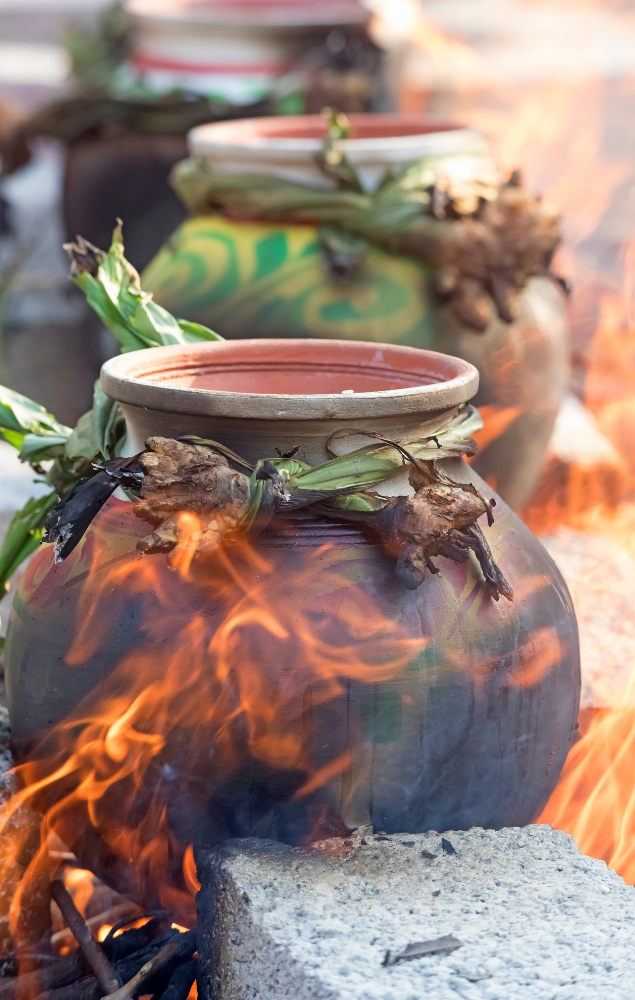 Pongal festival celebrations