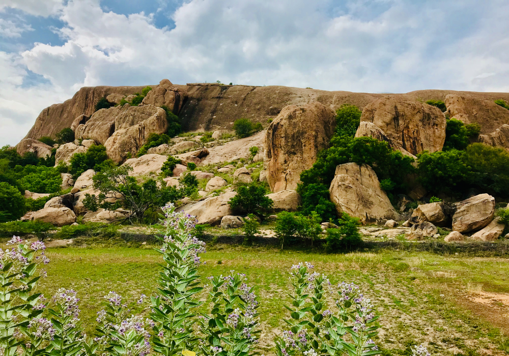 The Samanar Hills