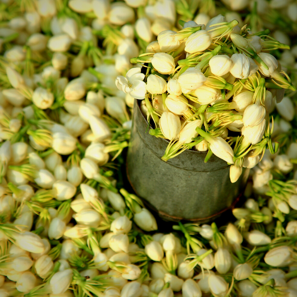 madurai jasmine flowers