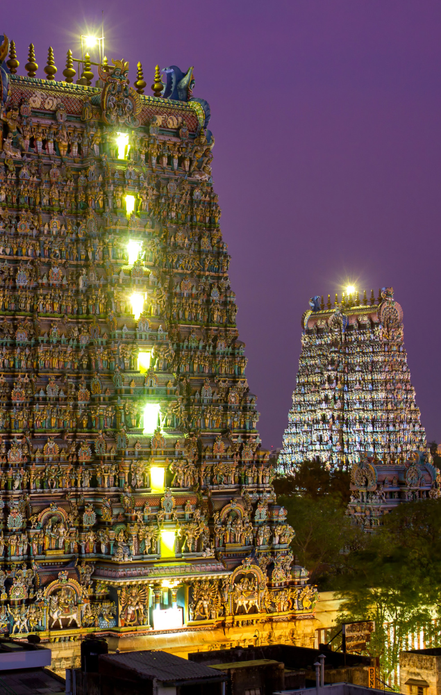 A perspective of the Meenakshi Amman Temple gopurams