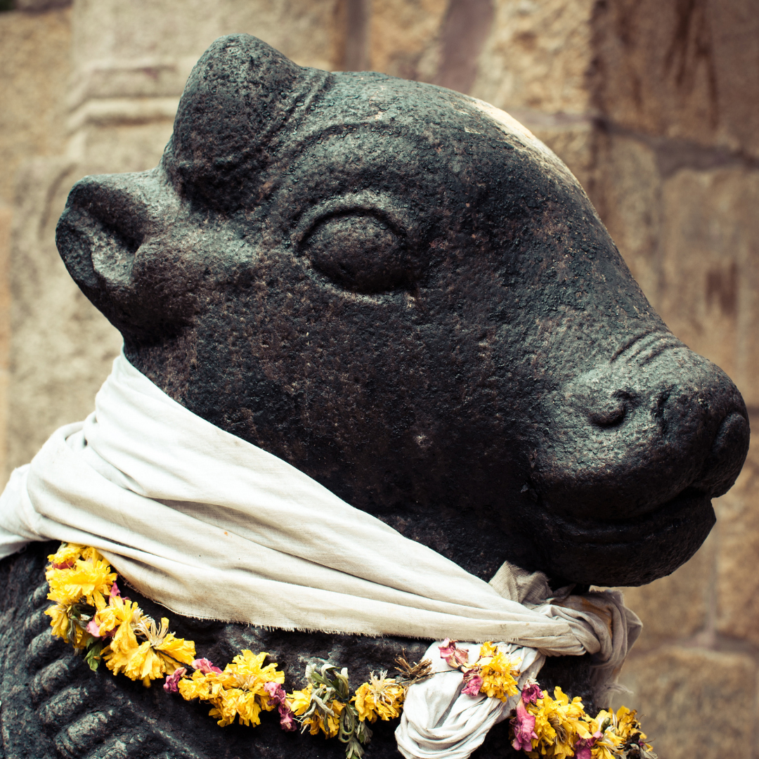 Nandi statue carved in stone