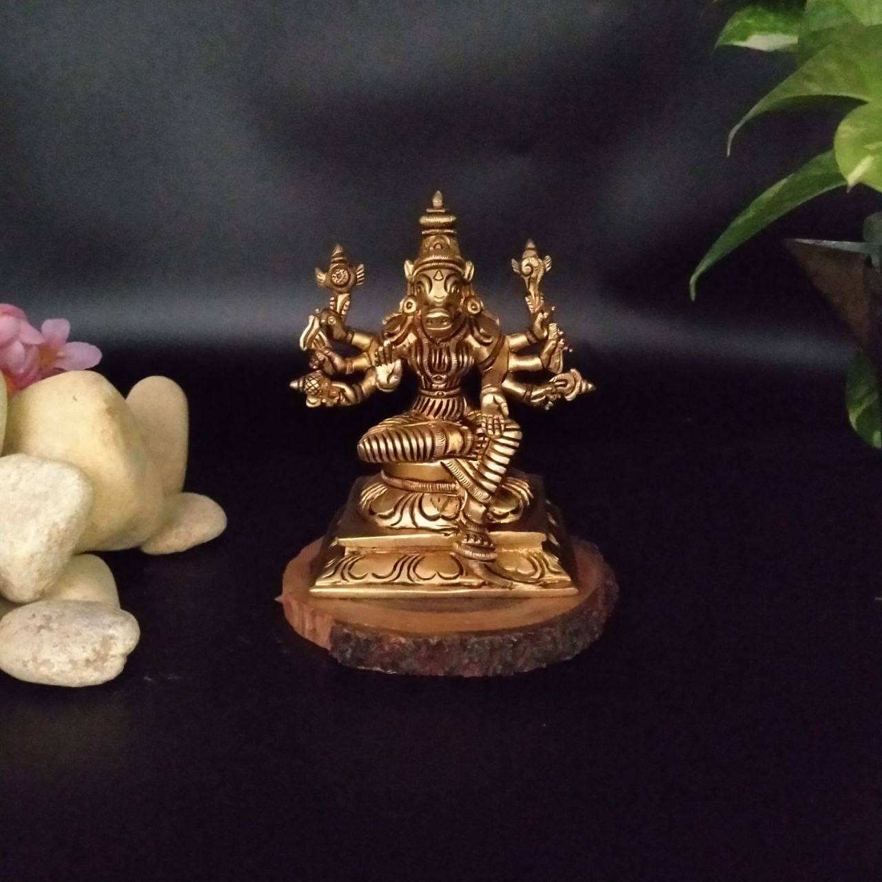 A Varahi Amman Statue photographed with a black background