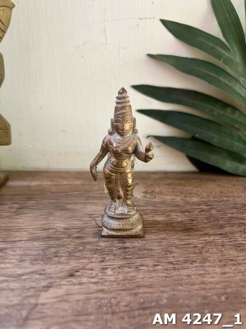 Bronze Goddess Bhudevi