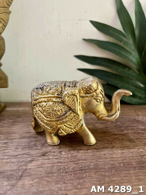 Brass Elephant Heavy Weight